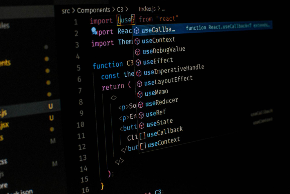 coding website development