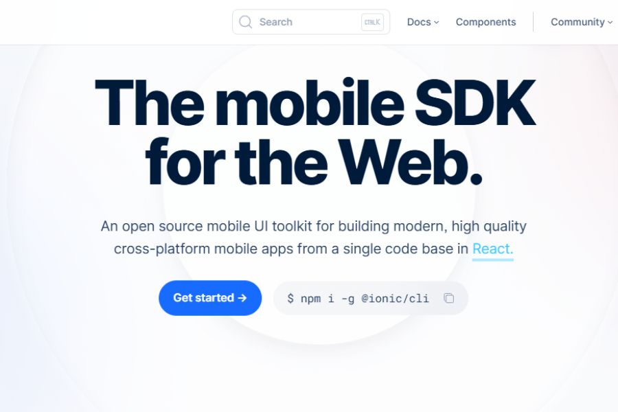 mobile app development