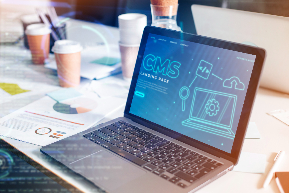 Cara Membuat Custom CMS untuk Web Bisnis, Beginners Friendly!