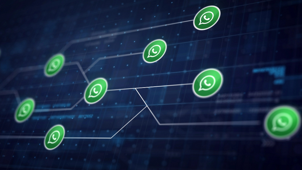 6 Fakta & Data Mengejutkan Whatsapp Marketing di 2025