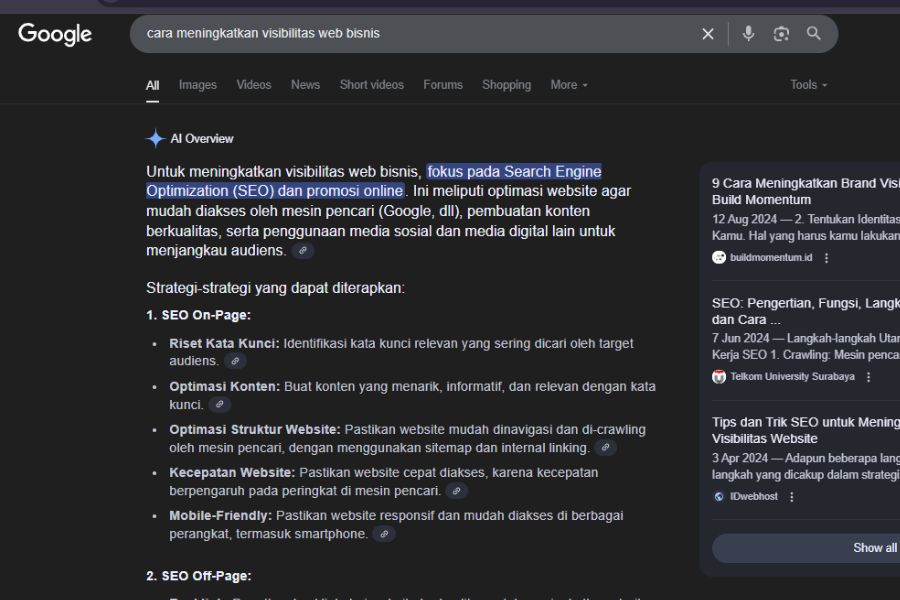 Apa itu AI Overviews dan Apa Pengaruhnya pada SEO?